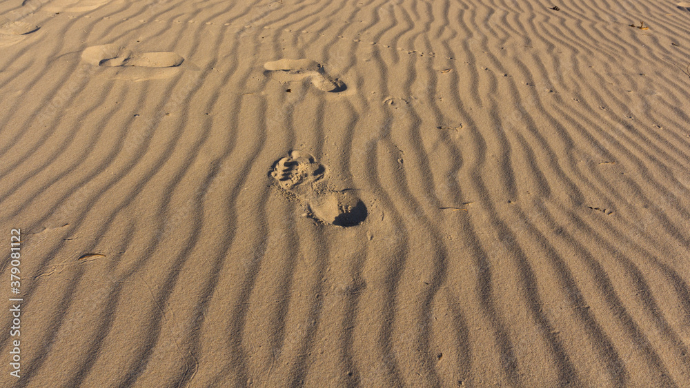 sand on the beach on the Polish sea