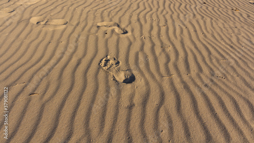 Obraz na płótnie sand on the beach on the Polish sea w salonie
