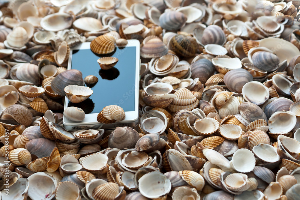Smart phone lying among seashells with copy space