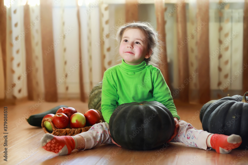 Fototapeta premium Little child choose a pumpkin at autumn. Child sitting on giant pumpkin. Pumpkin is traditional vegetable used on American holidays - Halloween and Thanksgiving Day.