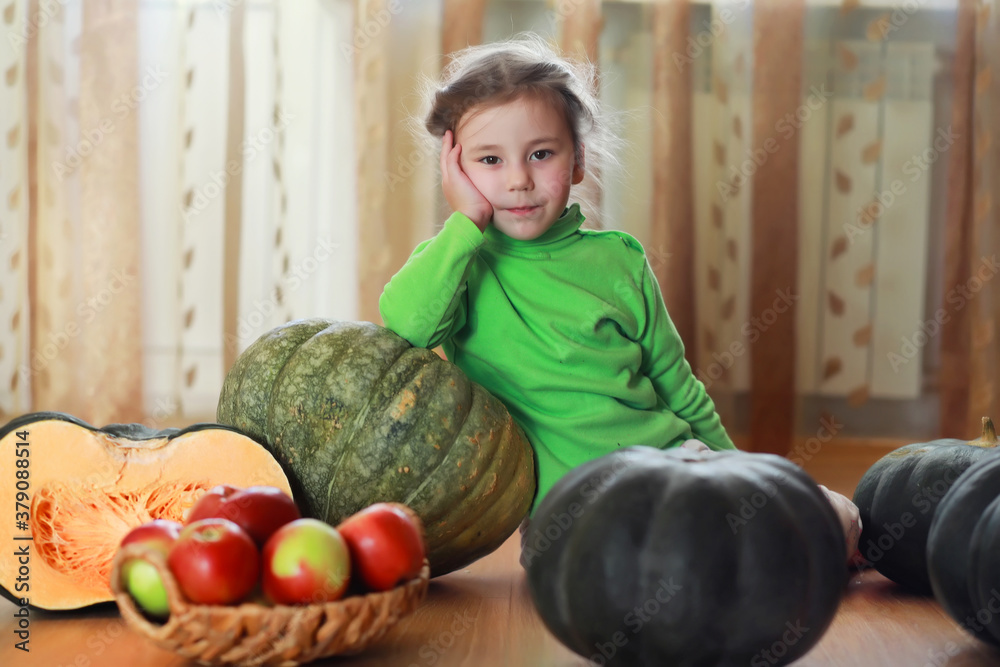 Fototapeta premium Little child choose a pumpkin at autumn. Child sitting on giant pumpkin. Pumpkin is traditional vegetable used on American holidays - Halloween and Thanksgiving Day.
