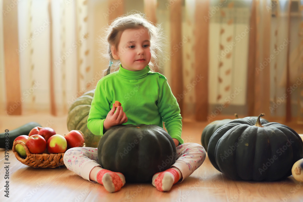 Fototapeta premium Little child choose a pumpkin at autumn. Child sitting on giant pumpkin. Pumpkin is traditional vegetable used on American holidays - Halloween and Thanksgiving Day.