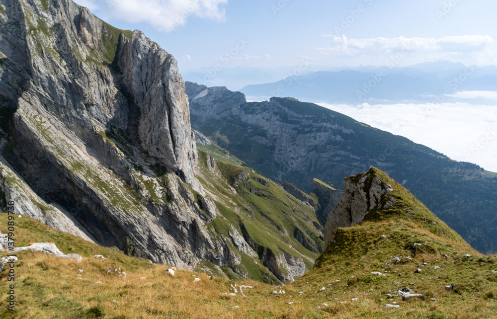 Obraz premium Schweiz Wildhauser Schafberg 