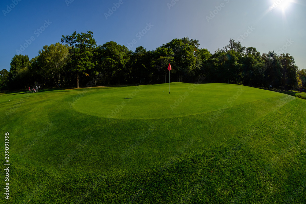 Fototapeta premium sunny fisheye wide view of putting green hole on golf course