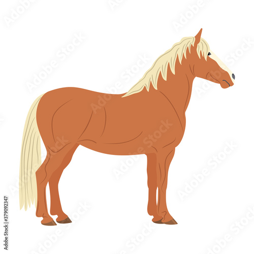The red horse is isolated on the white background.
