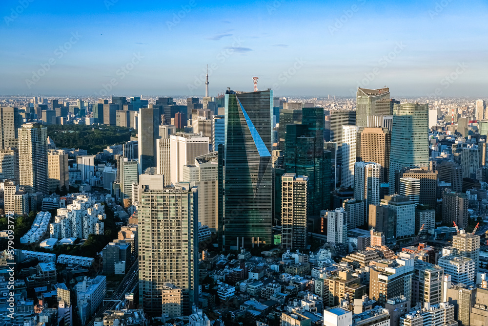 Fototapeta premium 六本木ヒルズから眺める東京の街並み 夕方 六本木一丁目方面