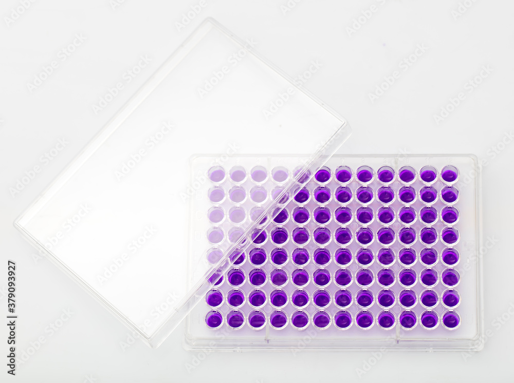 Multi channel pipette loading biological samples in microplate for test
