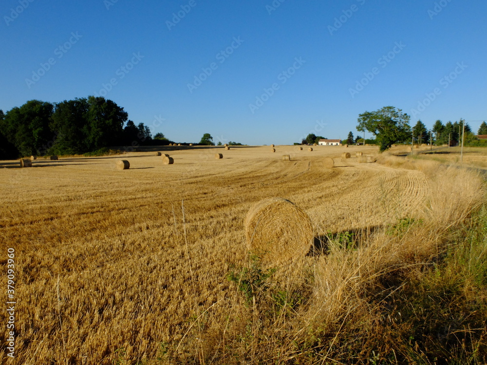 Obraz premium La Rochefoucault - Charente