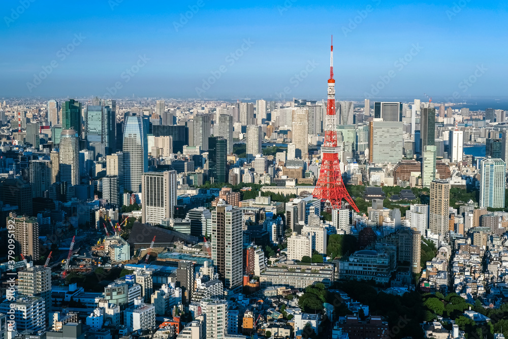 Obraz premium 六本木ヒルズから眺める東京の街並み