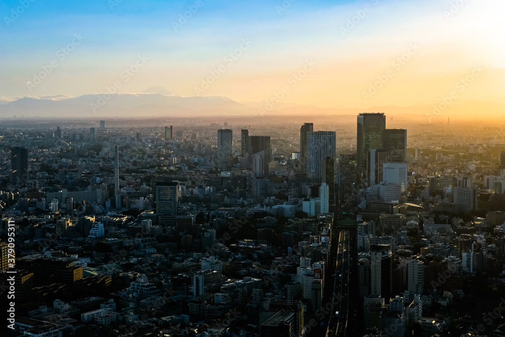 六本木ヒルズから眺める東京の街並み 夕方 渋谷・富士山方面