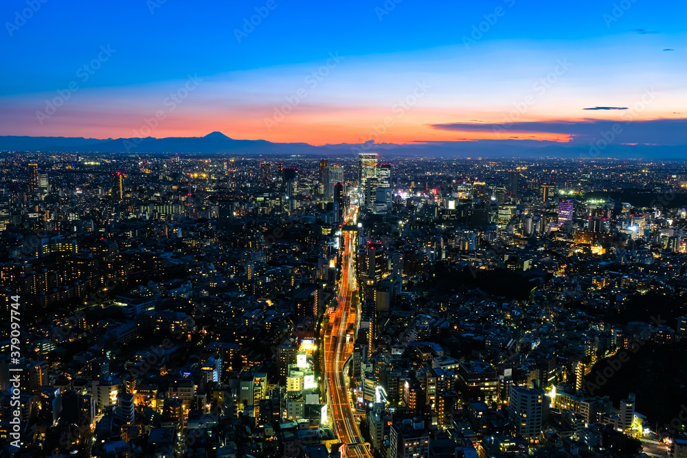 六本木ヒルズから眺める東京の街並み 夕暮れ 渋谷・富士山方面
