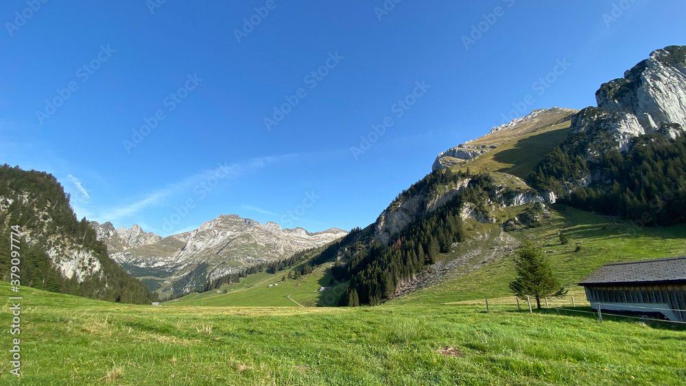 Schweiz Wildhauser Schafberg 