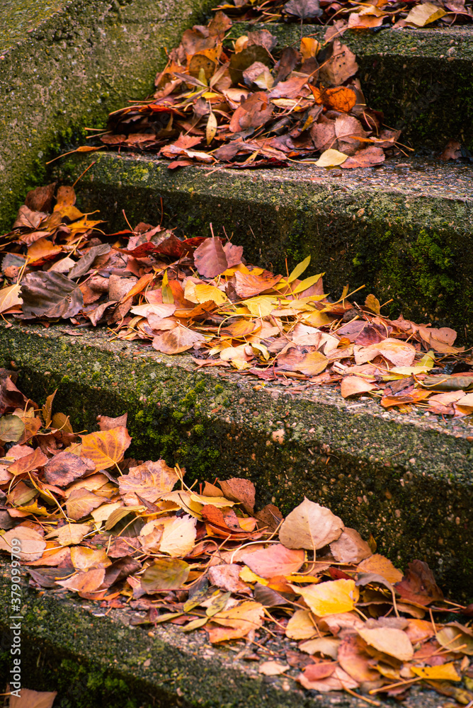 Obraz premium stairs in a park covered with leaves in autumn in Spain