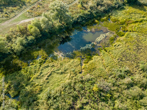 Small lake among green meadows. Summer sunny day. Aerial drone view.