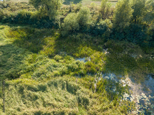 Aerial drone view. Tall green grass by the lake.