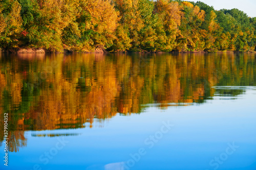 bright colorful autumn forest landscape  trees near river and blue sky