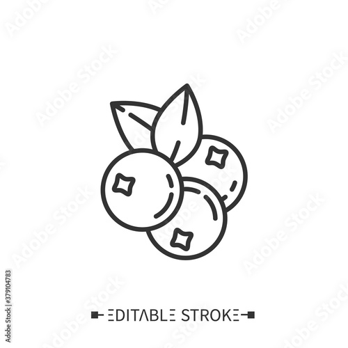 Blueberries line icon. Superfood. Organic healthy energetic food for balanced nutrition. Detox and weight loss supplements. Vegetarian food. Isolated vector illustration. Editable stroke. 