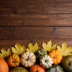 Pumpkins and maple leaves