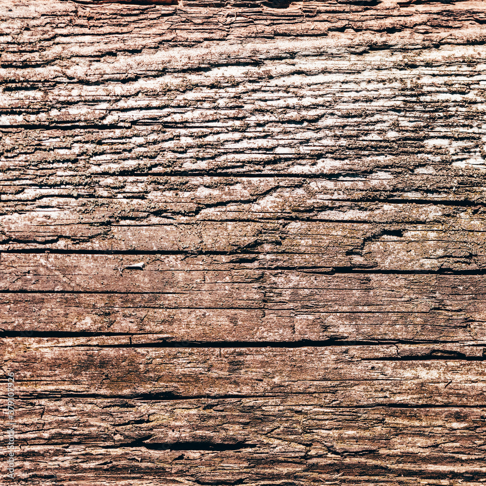 old wood texture closeup old wood texture closeup