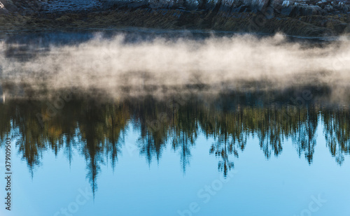 lake with reflection of forest