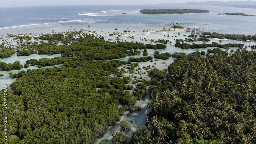 A drone shot from the beautiful nature of Mentawai islands, Sumatra, Indonesia. The combination of forest, palm trees, clear waters, reef corals and sand. 