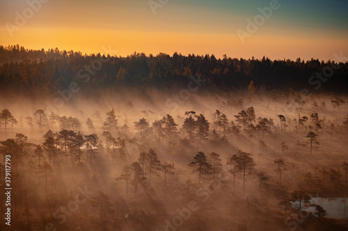 A beautiful aerial drone view of a bog forest wth sunrise rays of light shining through shadows and much fog, steam or smoke, creating shadows and copy space