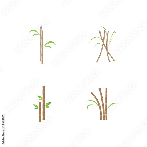 Sugar cane plant logo vector