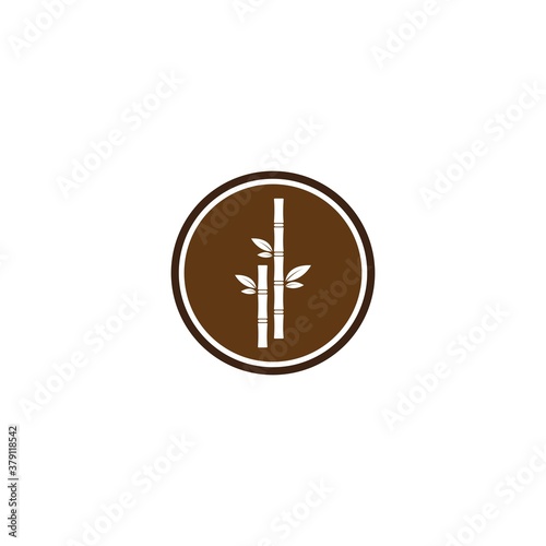 Sugar cane plant logo vector