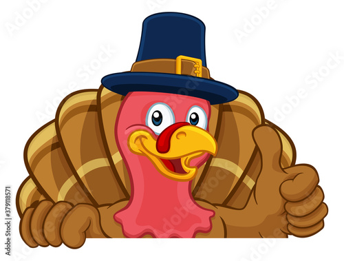 Pilgrim Turkey Thanksgiving bird animal cartoon character wearing a pilgrims hat. Peeking over a background sign and giving a thumbs up