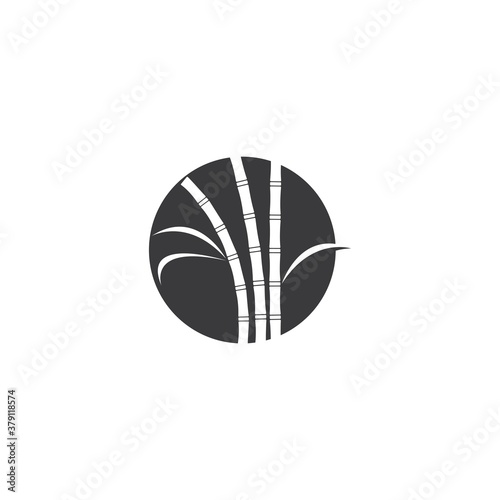 Sugar cane plant logo vector