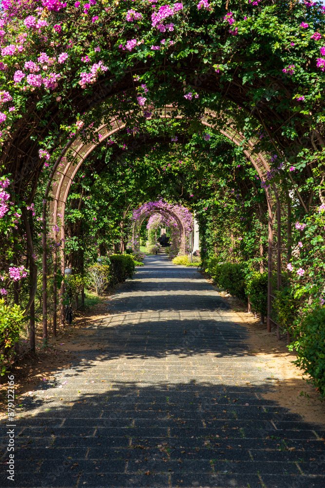 Flower tunnel at the Japanese Cemetery Park. Flower tunnel at the Japanese Cemetery Park.