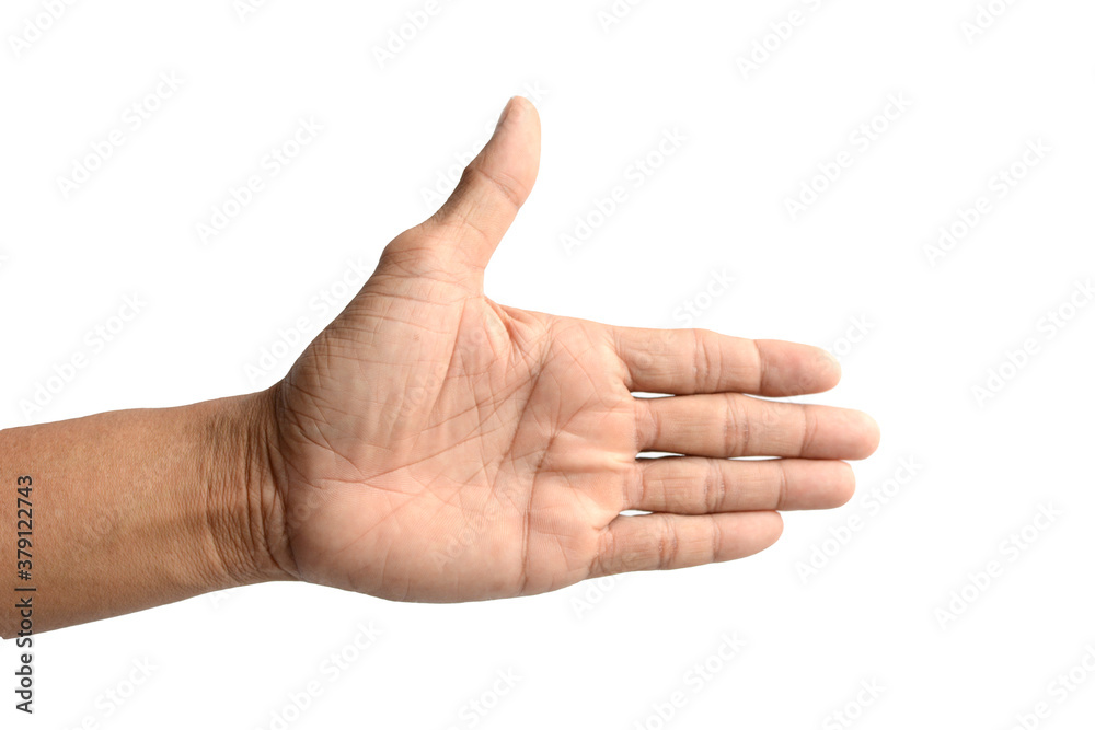 Empty hand holding isolated on the white background. Empty hand holding isolated on the white background.