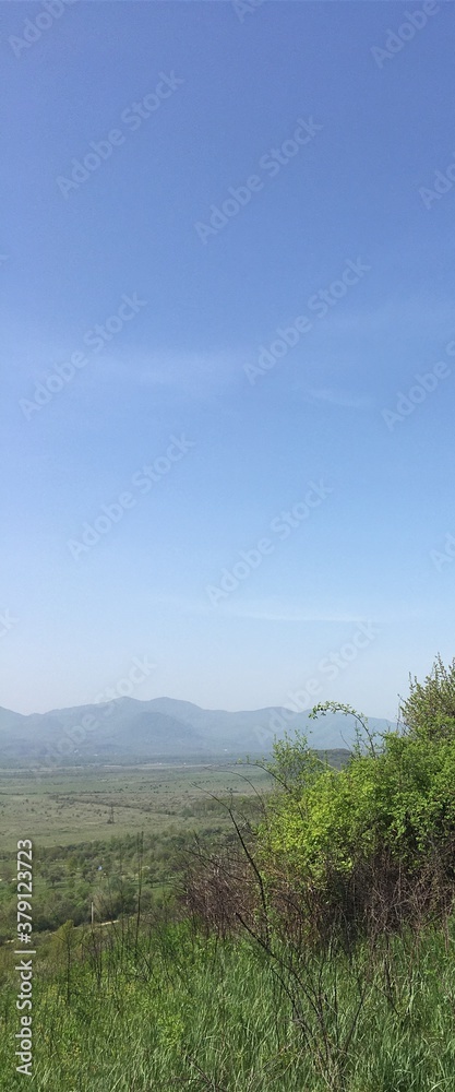 Mountain landscape with apple trees on foreground on sunny summer day