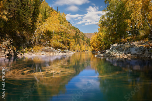 Kumir River flowing through the autumn Altai Mountains.