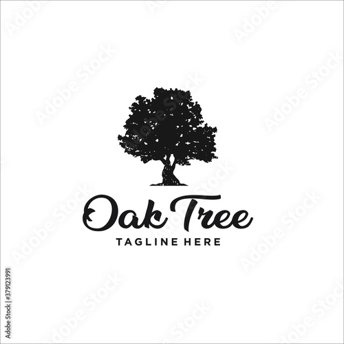 oak tree logo design template silhouette vector icon