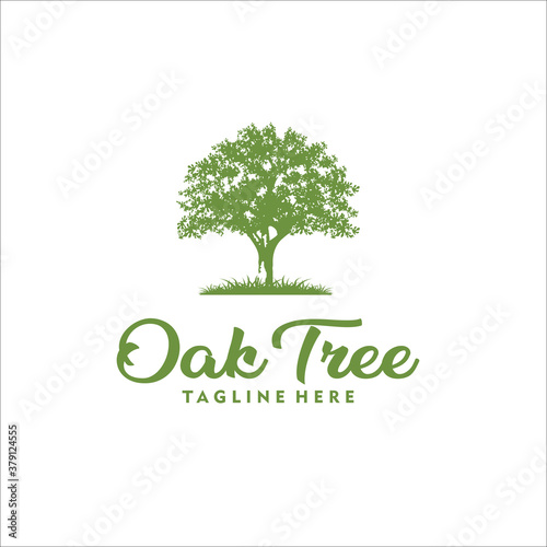 oak tree logo design template silhouette vector icon