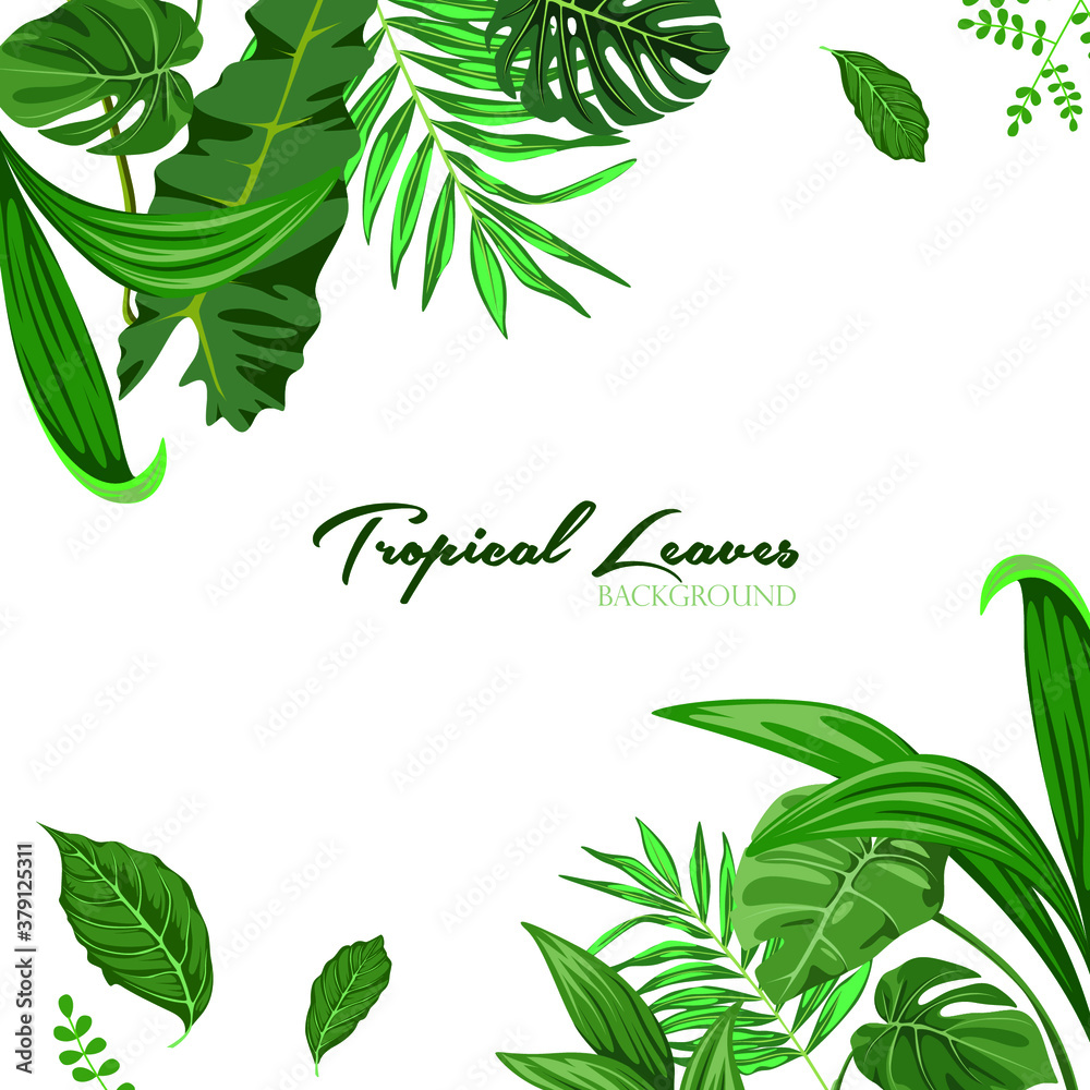 White Background With Tropical Green Leaves For Decoration On Frame In Flat Design Vector For Your Creative Typography Creations.