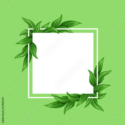 The Frame With Green Leaves Of Tropical Theme As Decoration And White Background In Flat Design Vector.