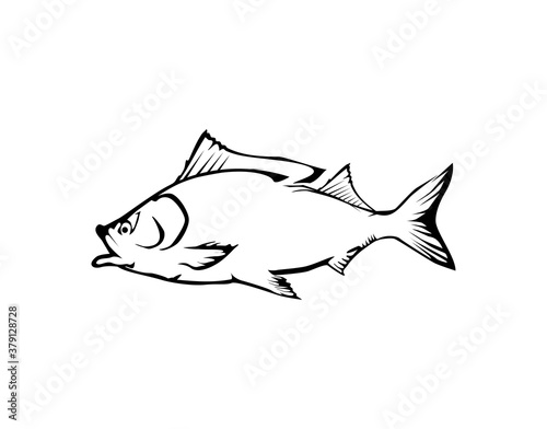 fish icon vector isolated . The fish is breathing, while bubbles are coming out of its mouth