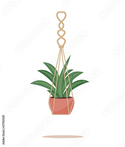 Flower in a pot pots macrame, modern Scandinavian style. Hanging plant, interior decor. Vector illustration