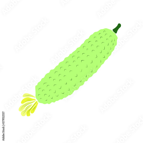 Sketch of a cucumber. Vegetable doodle. Vector isolated outline element for design.