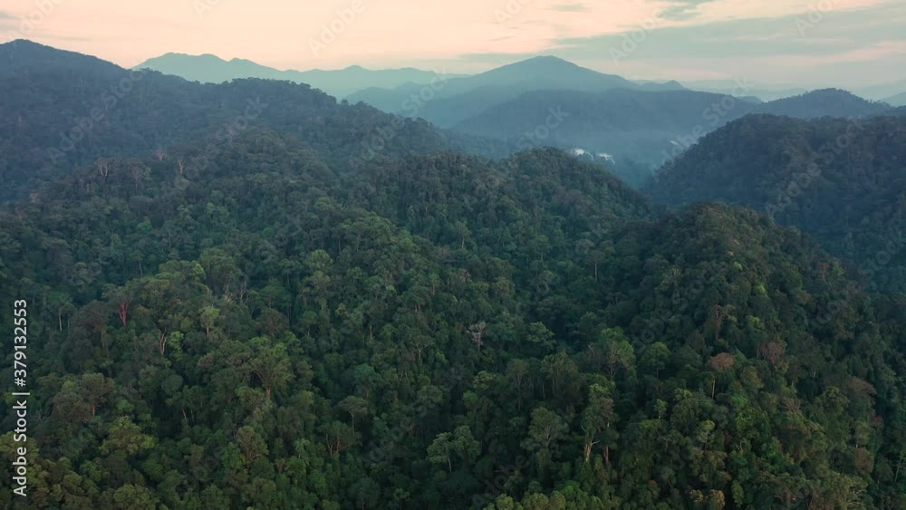 Backwards aerial shot of rainforest scenery around sunrise in Gunung Leuser National Park, the Tropical Rainforest Heritage of Sumatra, Indonesia Backwards aerial shot of rainforest scenery around sunrise in Gunung Leuser National Park, the Tropical Rainforest Heritage of Sumatra, Indonesia