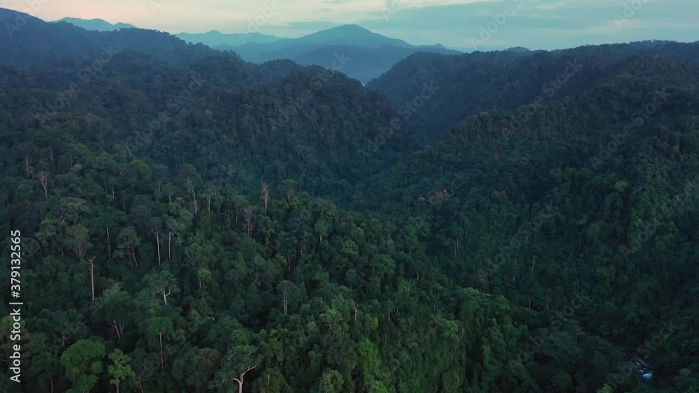 Beautiful rainforest scenery in Bukit Lawang at dawn in Gunung Leuser National Park, the Tropical Rainforest Heritage of Sumatra, Indonesia - cinematic aerial shot Beautiful rainforest scenery in Bukit Lawang at dawn in Gunung Leuser National Park, the Tropical Rainforest Heritage of Sumatra, Indonesia - cinematic aerial shot