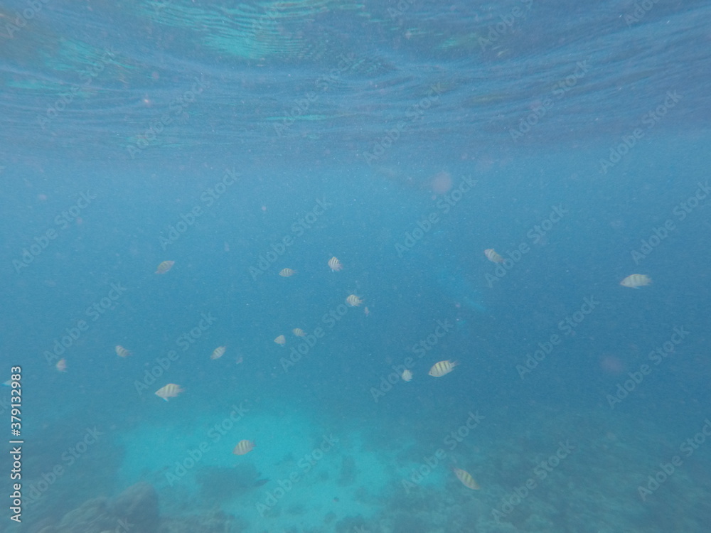 DCIM\100GOPRO\GOPR7086.JPG DCIM\100GOPRO\GOPR7086.JPG