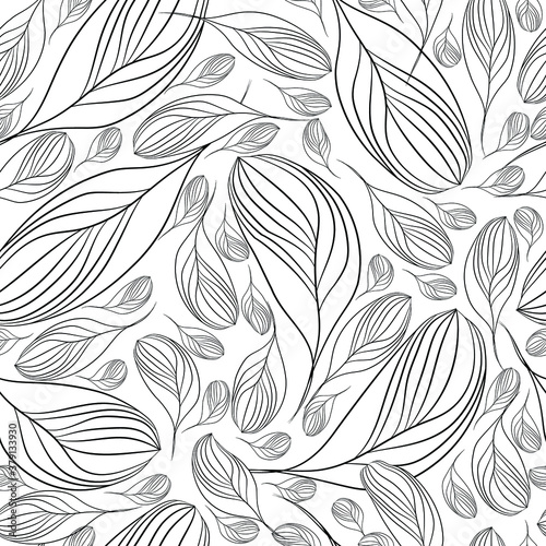Abstract floral illustration. Vector seamless pattern. Outline petals on a white background.