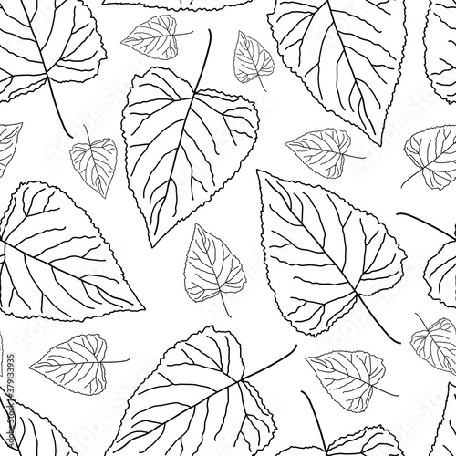 Vector seamless pattern. Poplar leaves on the white background. Monochrome outlines illustration.