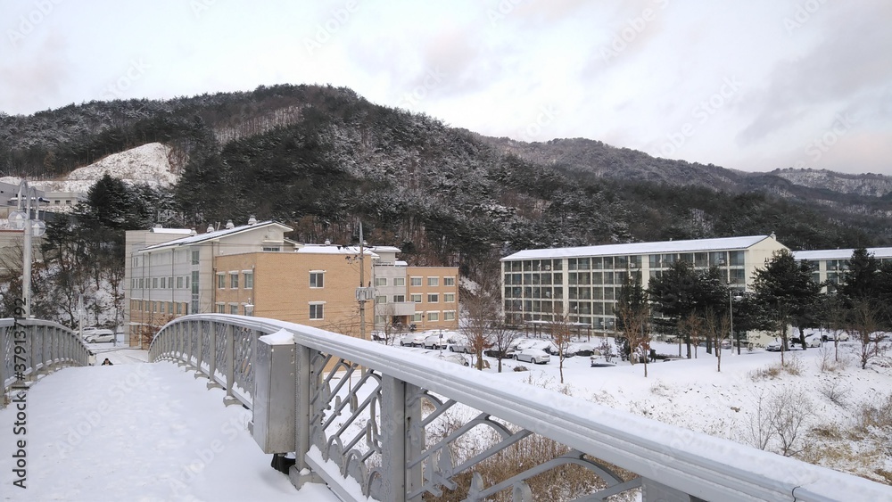 Obraz premium 다리 눈 제설 겨울 마을 산 눈덮인 산 설경