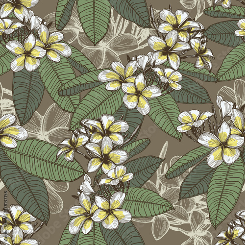 Seamless pattern with flowers and leaves of plumeria on a dark background. Frangipani flowers drawn on paper with pen and ink, converted into a vector image. Exotic tropical plant. Endless background.