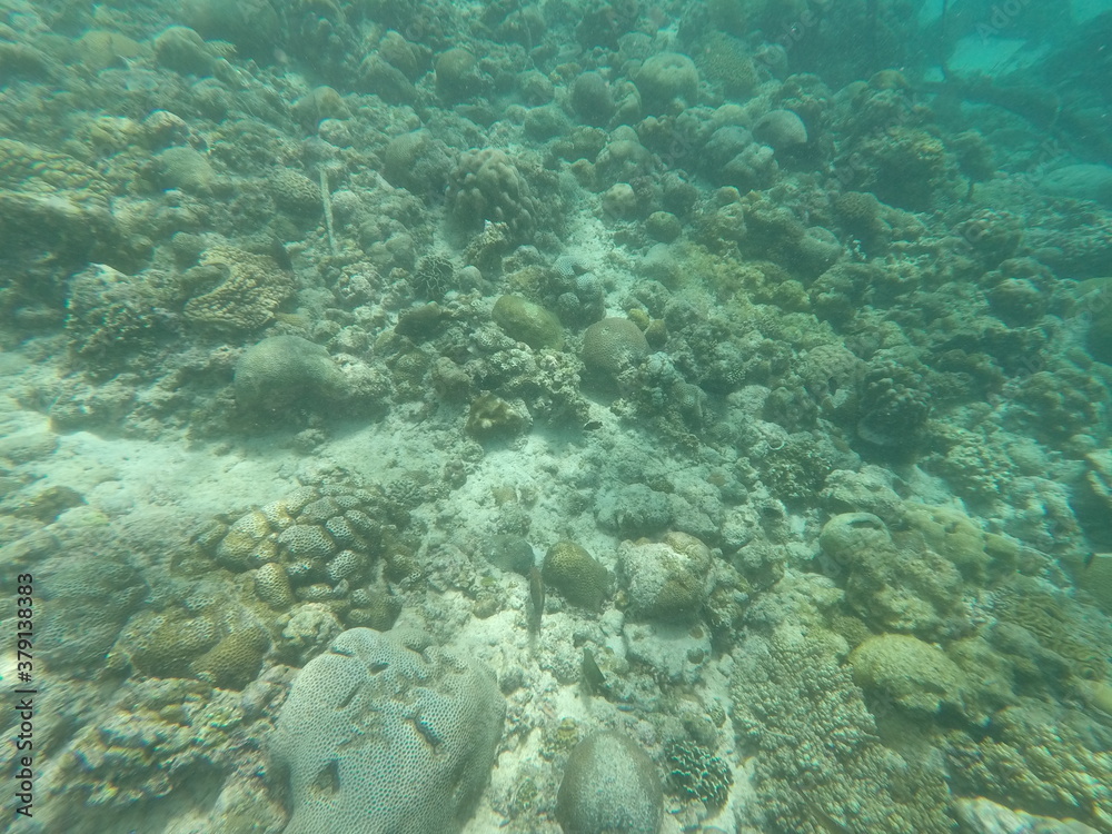 DCIM\100GOPRO\GOPR7163.JPG DCIM\100GOPRO\GOPR7163.JPG