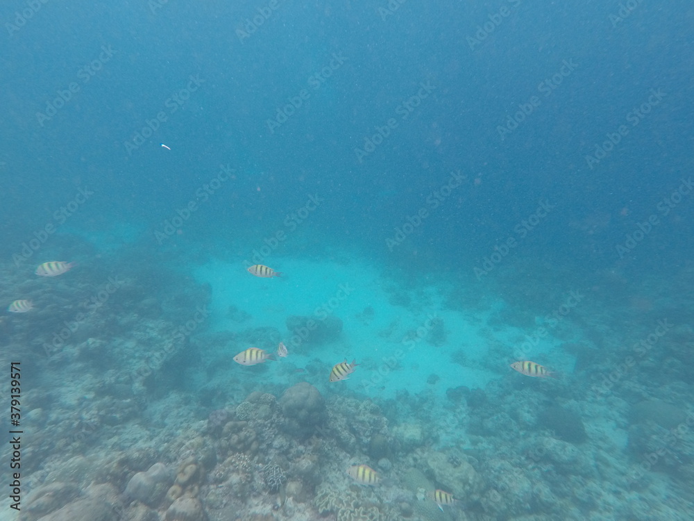 DCIM\100GOPRO\GOPR7089.JPG DCIM\100GOPRO\GOPR7089.JPG